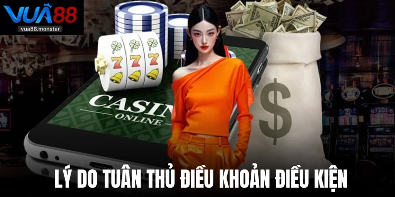 Lý do tuân thủ điều khoản điều kiện của Vua88