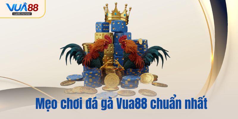 Mẹo chơi đá gà Vua88 chuẩn nhất dành cho game thủ